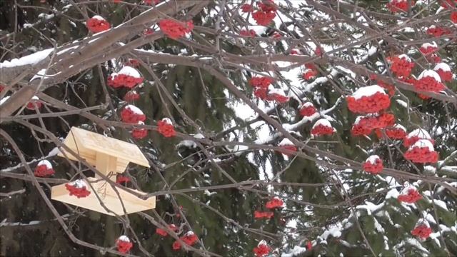 Каждый день я чувствую себя все лучше и лучше! смотреть онлайн