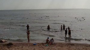 Пляж отеля Grand Oasis Resort Шарм Эль Шейх