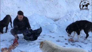 Геленджик 2022. НУДИСТСКИЙ ПЛЯЖ Дивноморское: САМЫЙ популярный в Краснодарском крае