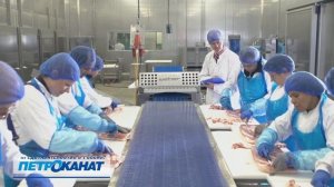 Как выбрать качественную защитную обувь: сапоги DUNLOP из материалов ПВХ и Purofort