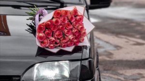 Ва хьо воцуш муха 1ийр ю 2024 #чеченскиепесни #рек  #свадьба #подпишись 🫶😻