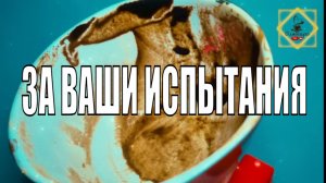 НАГРАДА ЗА ВАШИ ИСПЫТАНИЯ И ВЕРУ #ответуолятаро #youtubeshorts #youtube