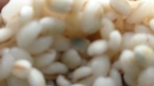 Выращивание Триходермы часть 3