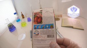 Томат Валентина. СеДеК