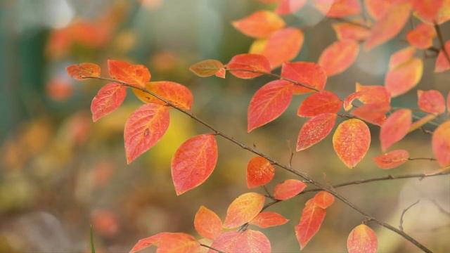Девушка вышла встречать жениха, а рядом с ним стояла девушка смотреть онлайн