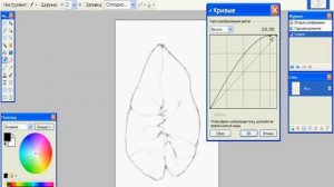 Как сделать четкую обводку изображения по контуру в Paint.NET