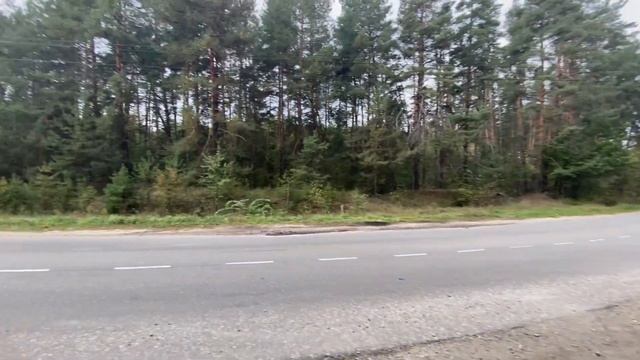 Продажа участка 908 соток, Плюты смотреть онлайн