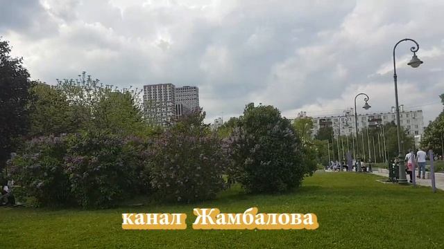 СИРЕНЕВЫЙ САД, любование сиренью, сирень разных сортов, Москва смотреть онлайн