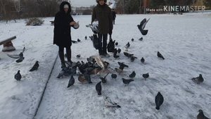 Я погоню вперёд коня .