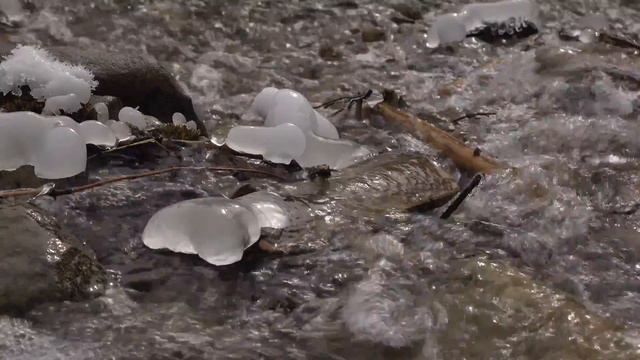 Dan Gibson’s Solitudes - A Lingering Peace | Dreaming by the Stream смотреть онлайн