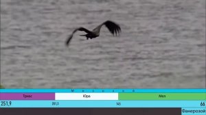 ЮРСКИЙ ПЕРИОД  Развитие жизни на Земле  12 серия   Самый известный период  Динозавры