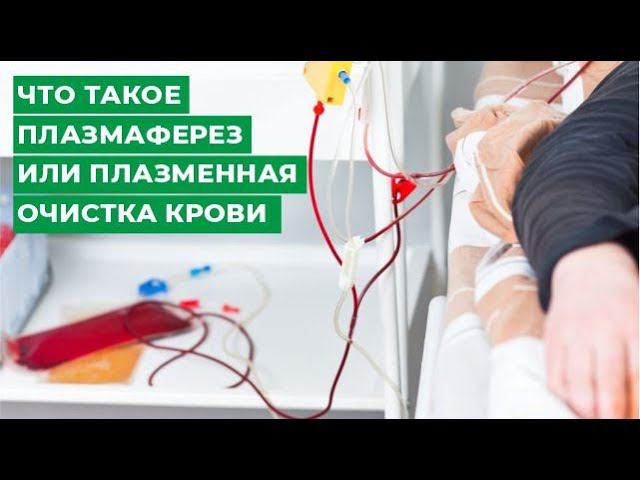Что такое плазмаферез или плазменная очистка крови. Клиника Мирт г. Кострома