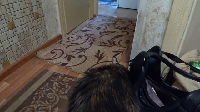 ВЛОГ Холод, котики и пироги смотреть онлайн