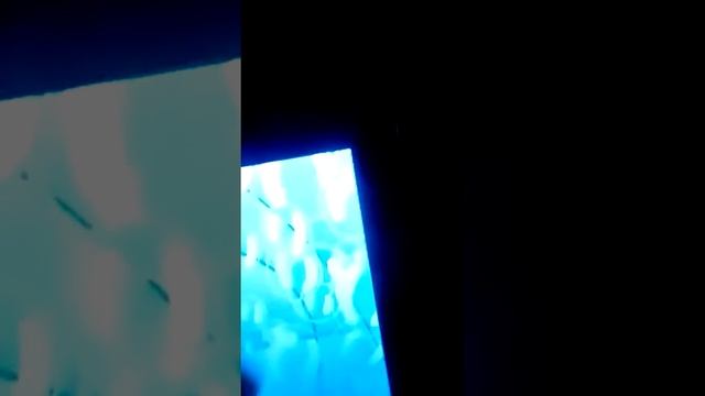 Вечер с девчонками пьем какао и смотрим мультики смотреть онлайн