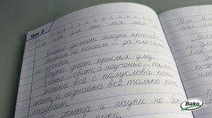 Тренажёр по чистописанию и развитию речи. 4 класс