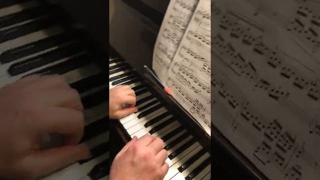 Beethoven Sonata op.13 Pathétique II-2 Соната 8 Патетическая_ пульс, артикуляция.mp4
