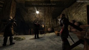 Подвиг в Старой шахте►Глава 2► Gothic / Готика #07