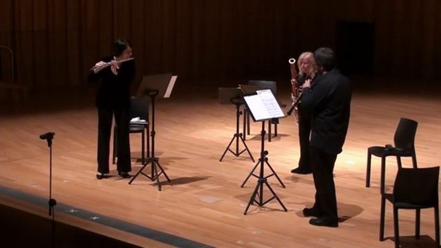 Vivaldi Concerto in G minor for flute, oboe and bassoon. Cuarteto Fénix Usina del Arte 2013 смотреть онлайн