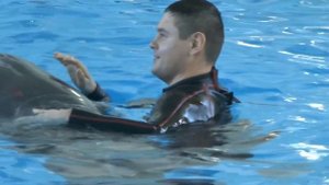 Dolphin Planet в Ярославле (дельфинарий в ярославле)