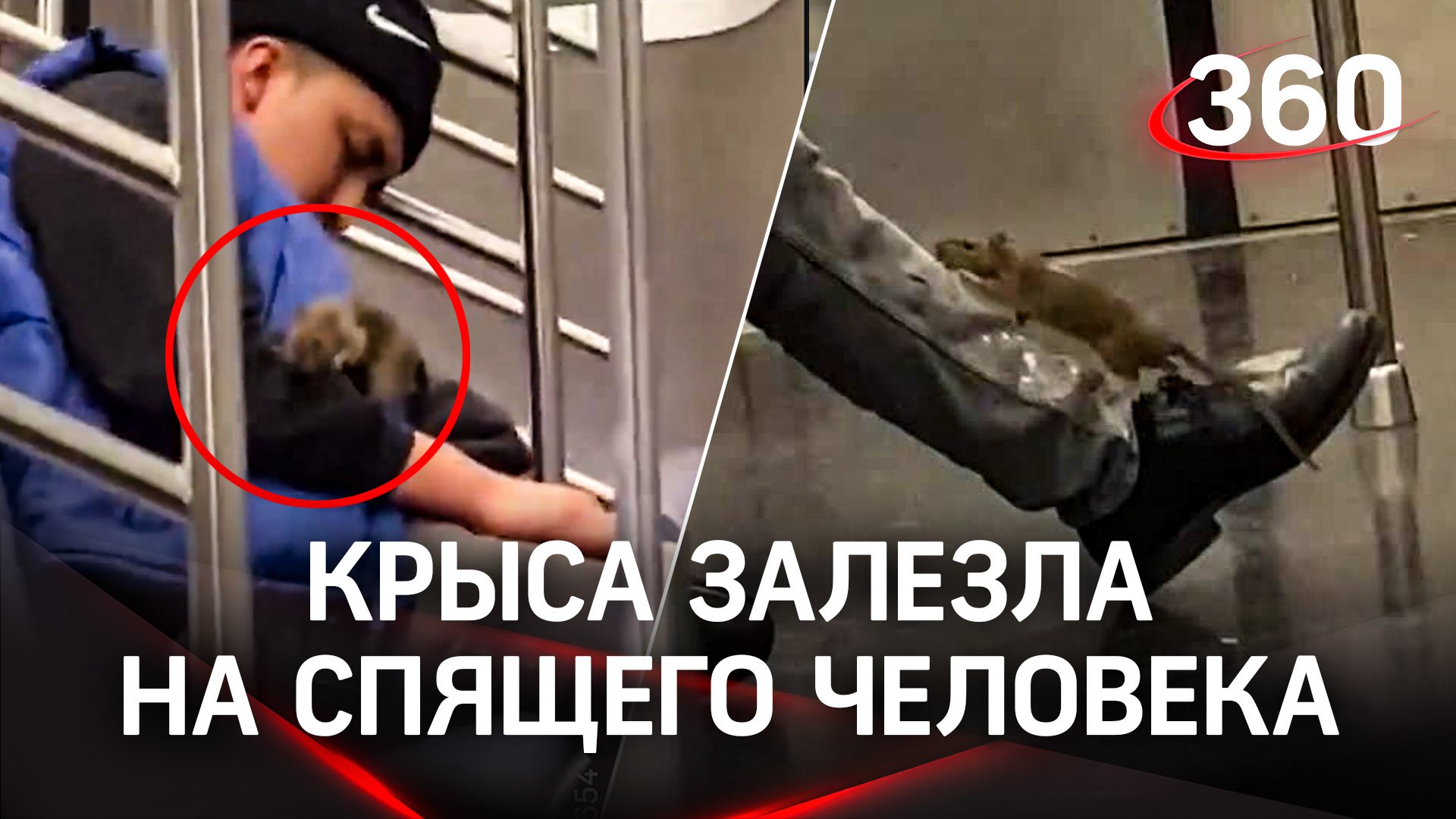 Метро. Сон. Человек и крыса : в метро Нью-Йорка крысы бегают по людям