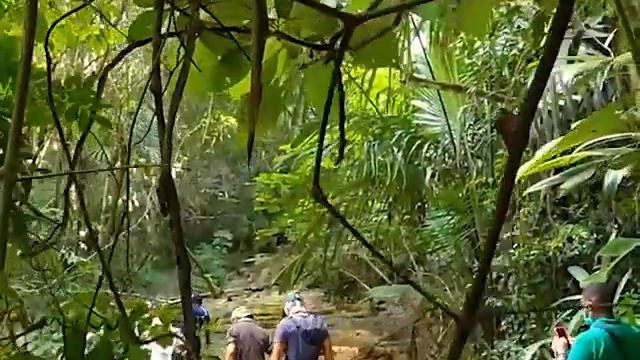 How Belize is Safeguarding its Biodiversity смотреть онлайн