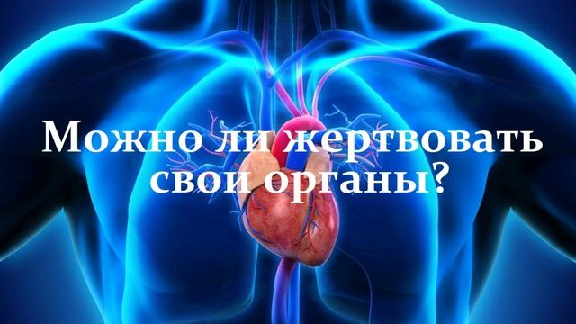 Вопрос — Ответ — Можно ли жертвовать свои органы?..