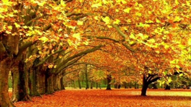 "РОДНАЯ" Геннадий Царегородцев
(авторская песня) смотреть онлайн