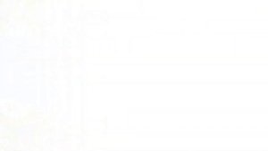 Проектная работа Ласточка с весною в сени к нам летит