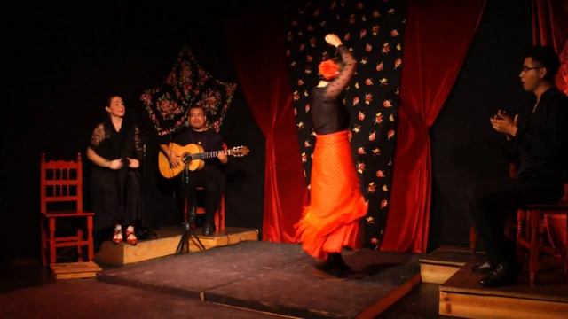 "La Roja" Danza Flamenca - Xalapa, Veracruz смотреть онлайн