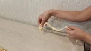 МЫШКА-СОСИСКА