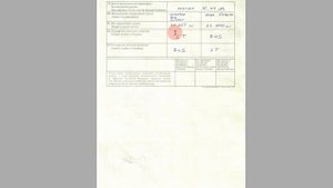 Заполнение РОССИЙСКОГО разрешения  разрешения / дозвола 2022 года