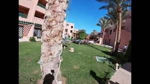 REHANA SHARM RESORT AQUA PARK 4* - обзор отеля от турагента