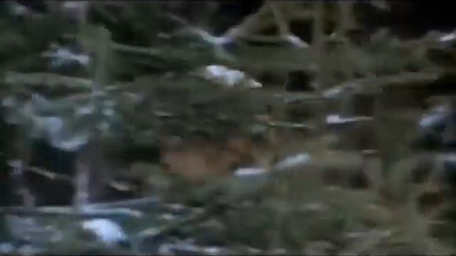 Серия книг Сибириада