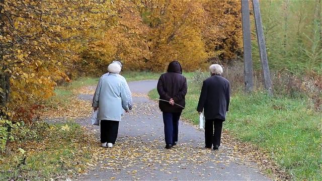 Осень 15 сентября 2013 года снято на камеру Canon 70D в Копыле смотреть онлайн