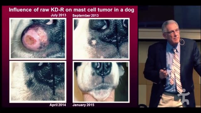 корм и болезни собак смотреть онлайн