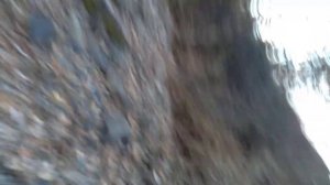 Санаторий Горняк в Кульдуре. Моя первая прогулка по территории.