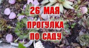 26 мая. Обзорная прогулка саду