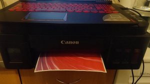 canon g3411(печать)