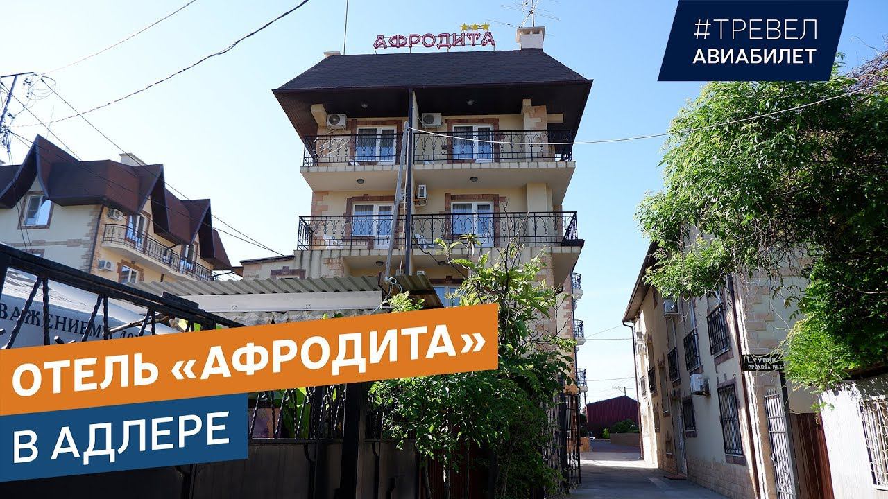 Обзор отеля Афродита в Адлере