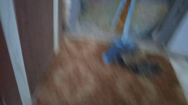 Обзор дачи чек смотреть онлайн