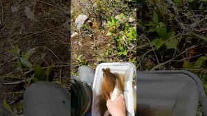 Фидер. Рыбалка на Загорской ГАЭС июль 2022г.