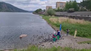 Привет из центра мира. Дивногорск