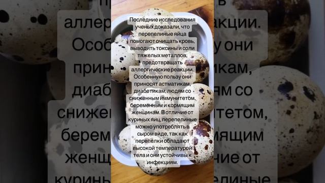 Польза перепелиных яиц смотреть онлайн