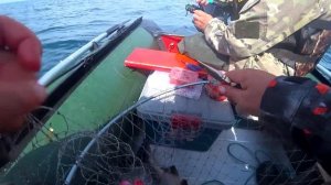 Такая рыбалка мне нравится... Рыбалка в море на кету