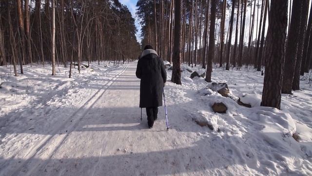 2023-01-29 Белки в парке