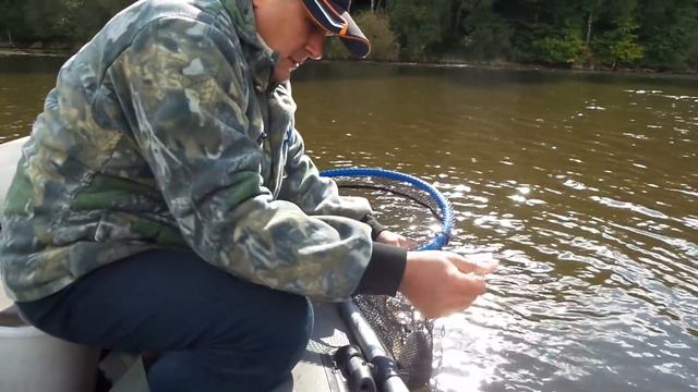 Ловля щуки на платнике. Озеро Яново. смотреть онлайн