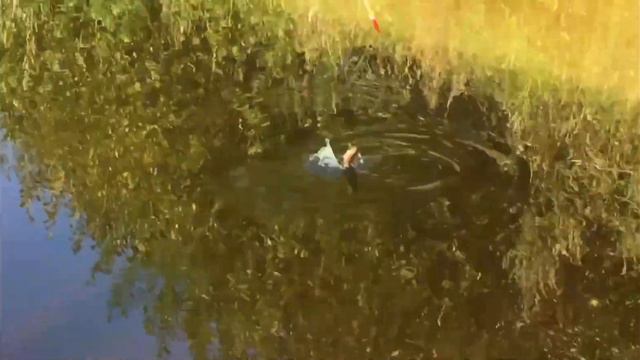 Рыбалка в своем пруду смотреть онлайн