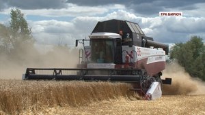 В Красногвардейском районе стартовала уборка ранних зерновых