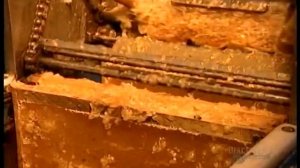 Куплю мед оптом