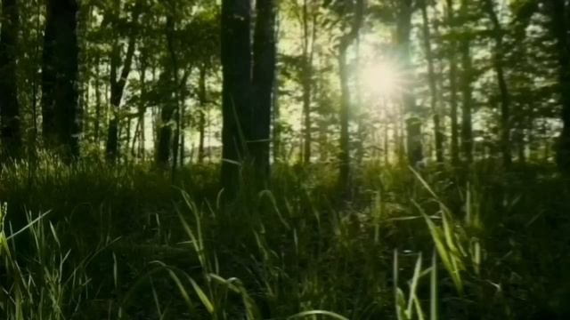 БОМЖИХА НА ФАН ВСТРЕЧЕ. VREDINA LIFE. смотреть онлайн